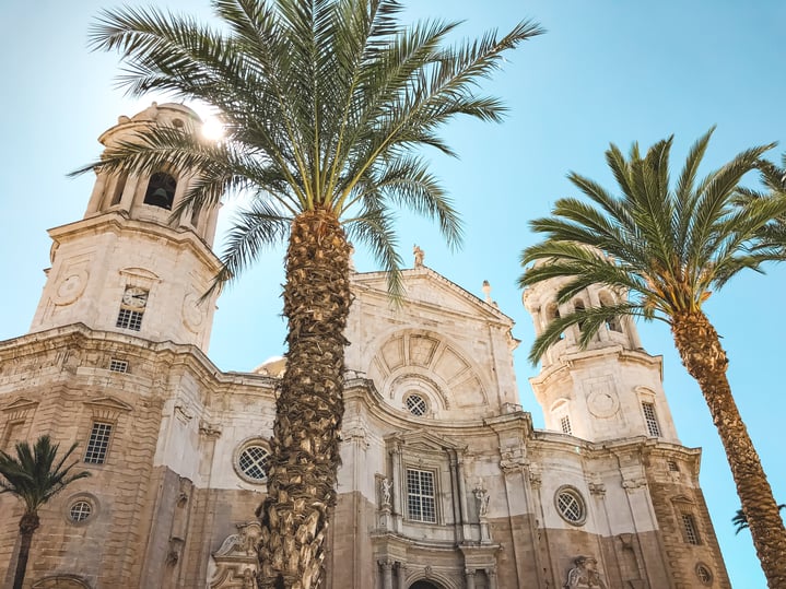 Cadiz cathedral with palm trees in front