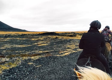 Horseback riding tour Iceland lava field