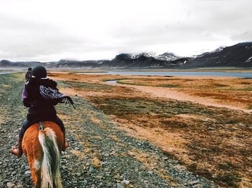 Horseback riding tour in lava field