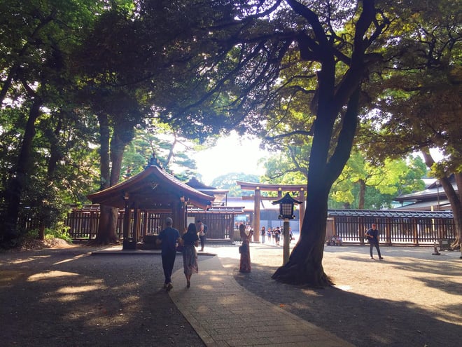 Muslim-travel-Tokyo-Meiji-Shrine.jpg