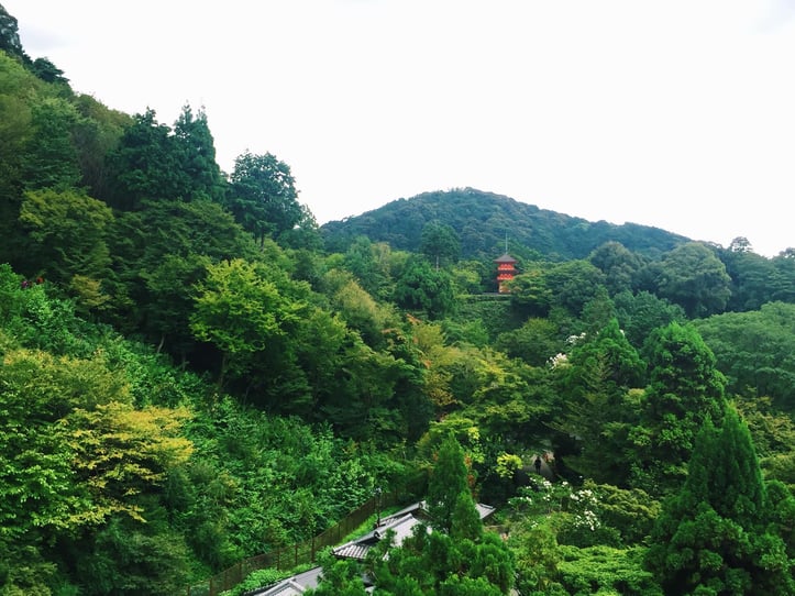 Muslim-travel-tips-Kyoto-Kiyomizu-dera-view.jpg