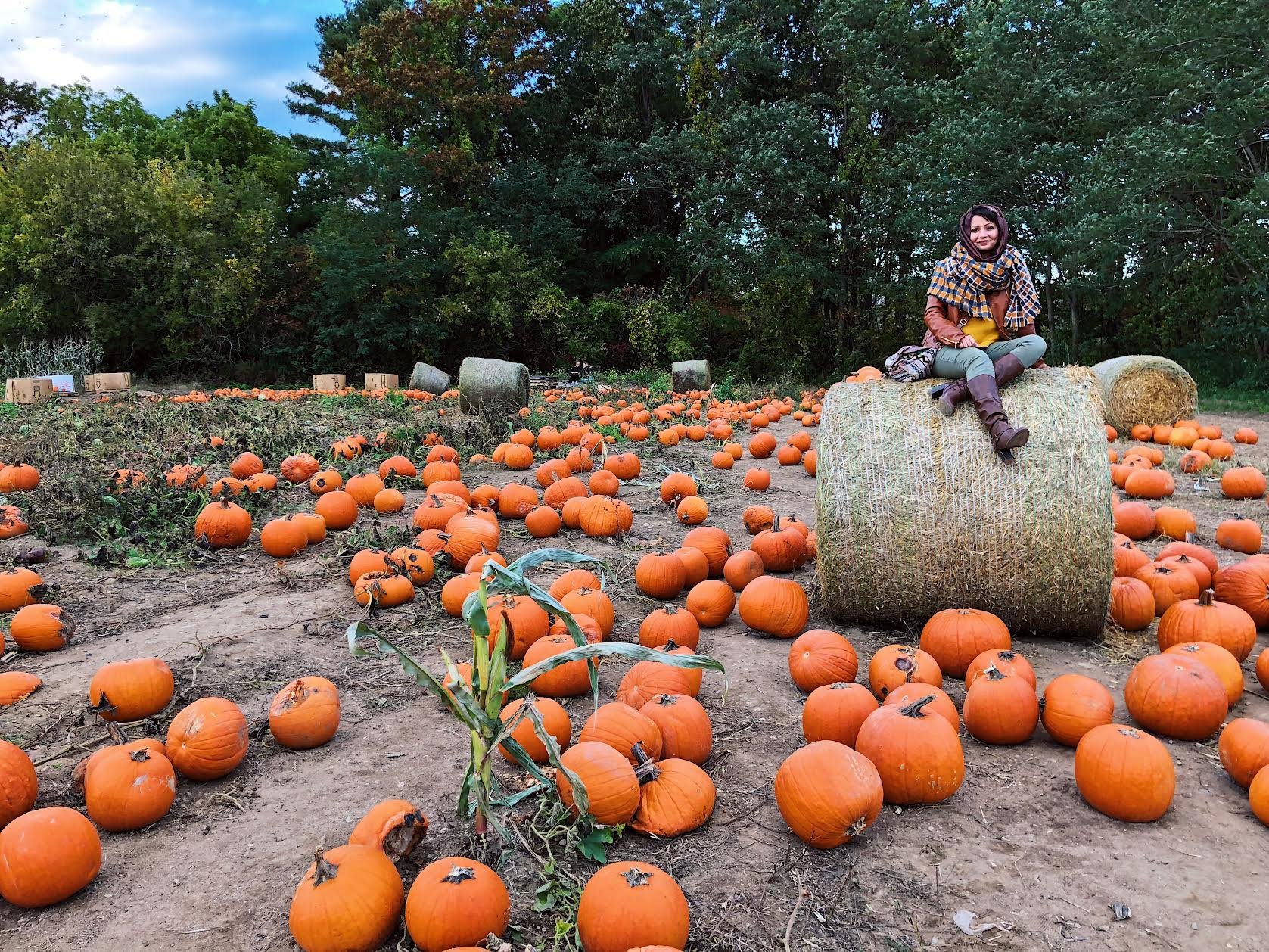 Muslim-travel-New-England-fall-activities-pumpkin-patch-visit