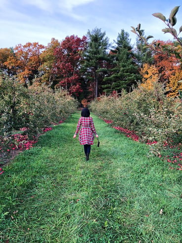 Muslim-travel-tips-New-England-fall-best-apple-picking